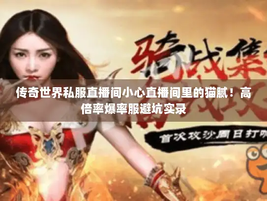 传奇世界私服直播间小心直播间里的猫腻！高倍率爆率服避坑实录