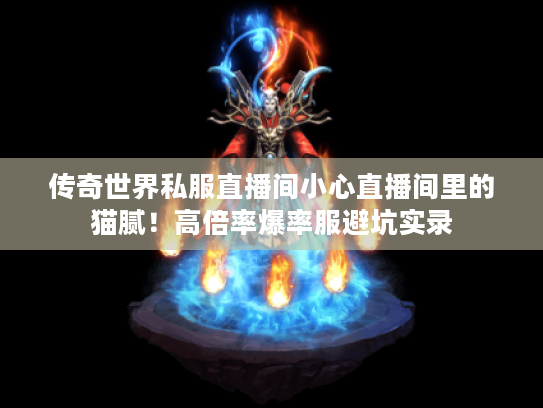 传奇世界私服直播间小心直播间里的猫腻！高倍率爆率服避坑实录