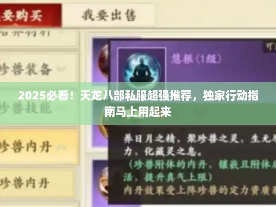 2025必看!天龙八部私服超强推荐,独家行动指南马上用起来 2025必看!天龙八部私服超强推荐,独家行动指南马上用起来