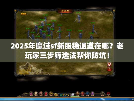 2025年魔域sf新服稳通道在哪？老玩家三步筛选法帮你防坑！
