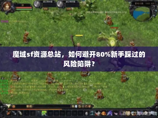 魔域sf资源总站，如何避开80%新手踩过的风险陷阱？