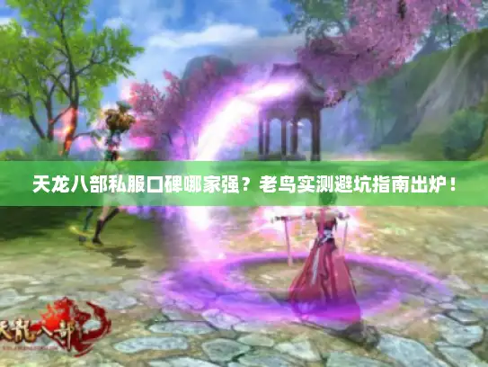 天龙八部私服口碑哪家强？老鸟实测避坑指南出炉！