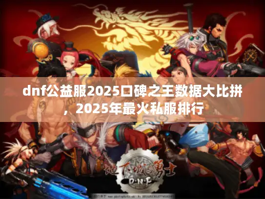 dnf公益服2025口碑之王数据大比拼，2025年最火私服排行