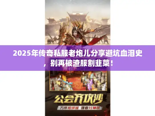 2025年传奇私服老炮儿分享避坑血泪史，别再被渣服割韭菜！