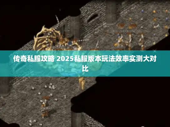 传奇私服攻略 2025私服版本玩法效率实测大对比