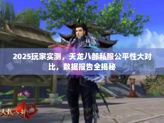 2025玩家实测，天龙八部私服公平性大对比，数据报告全揭秘