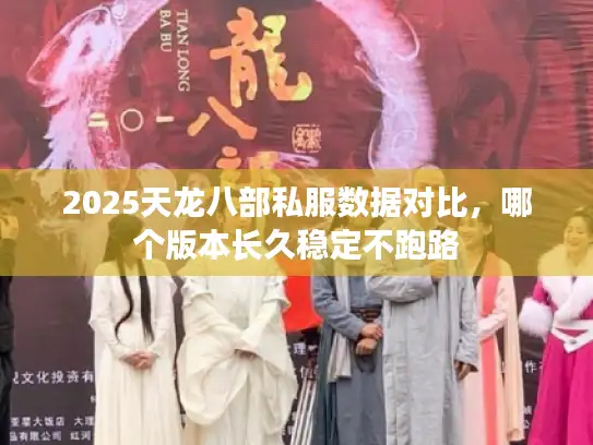 2025天龙八部私服数据对比，哪个版本长久稳定不跑路