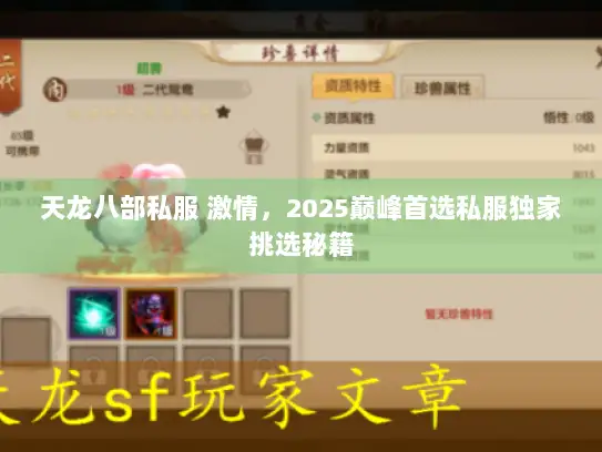 天龙八部私服 激情，2025巅峰首选私服独家挑选秘籍