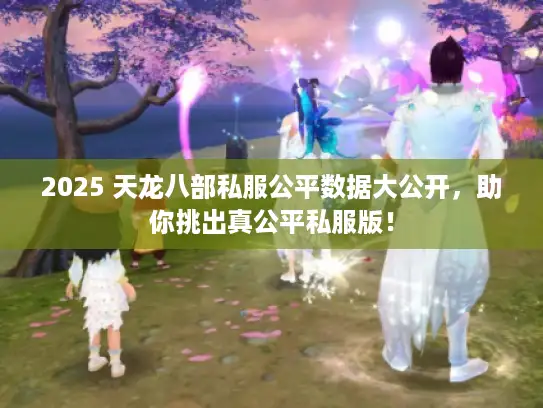 2025 天龙八部私服公平数据大公开,助你挑出真公平私服版! 2025 天龙八部私服公平数据大公开,助你挑出真公平私服版!