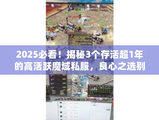 2025必看!揭秘3个存活超1年的高活跃魔域私服,良心之选别错过 2025必看!揭秘3个存活超1年的高活跃魔域私服,良心之选别错过