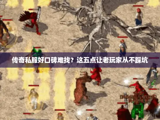 传奇私服好口碑难找？这五点让老玩家从不踩坑
