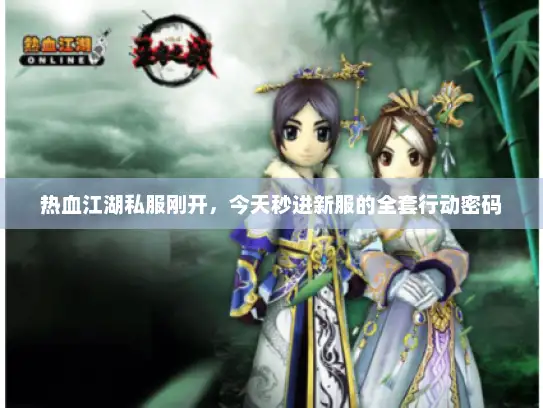 热血江湖私服刚开，今天秒进新服的全套行动密码