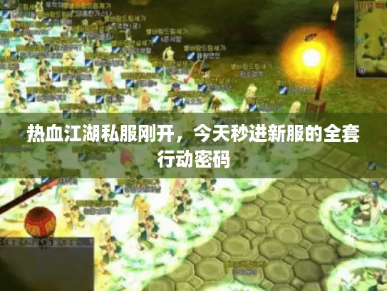 热血江湖私服刚开，今天秒进新服的全套行动密码