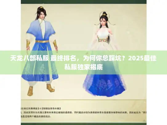 天龙八部私服 最终排名，为何你总踩坑？2025最佳私服独家揭底