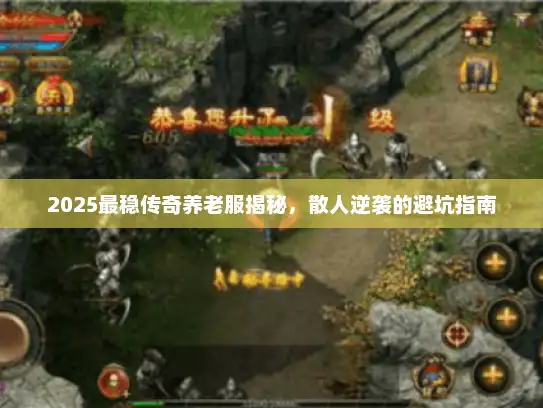 2025最稳传奇养老服揭秘，散人逆袭的避坑指南
