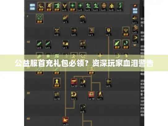 公益服首充礼包必领？资深玩家血泪警告