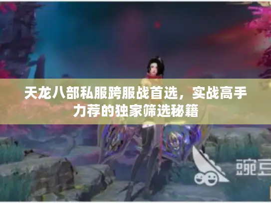 天龙八部私服跨服战首选，实战高手力荐的独家筛选秘籍