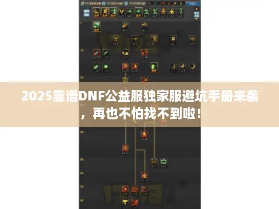2025靠谱DNF公益服独家服避坑手册来袭，再也不怕找不到啦！