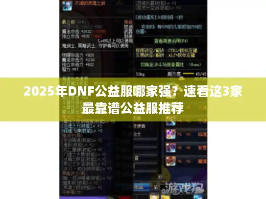 2025年DNF公益服哪家强？速看这3家最靠谱公益服推荐