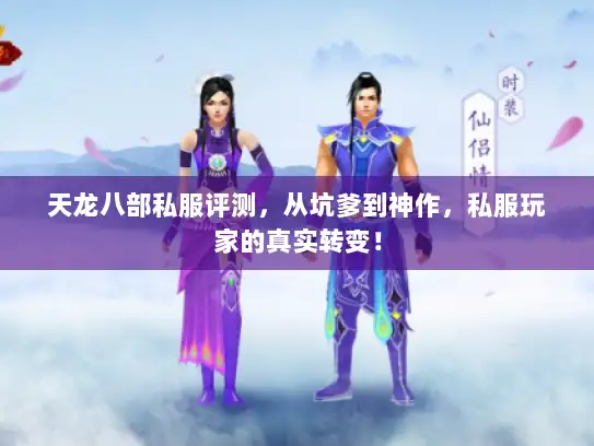 天龙八部私服评测，从坑爹到神作，私服玩家的真实转变！