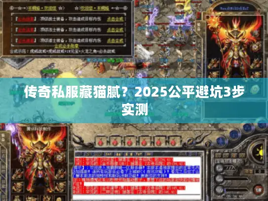 传奇私服藏猫腻？2025公平避坑3步实测