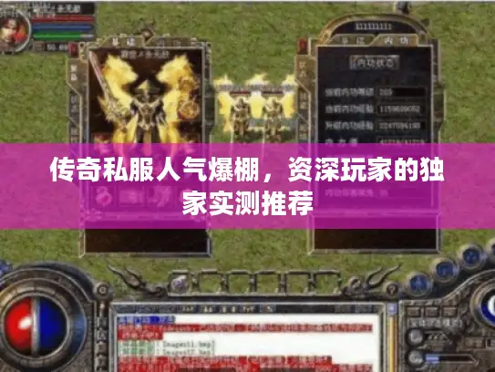 传奇私服人气爆棚，资深玩家的独家实测推荐