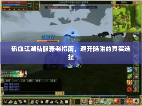 热血江湖私服养老指南,避开陷阱的真实选择 热血江湖私服养老指南,避开陷阱的真实选择