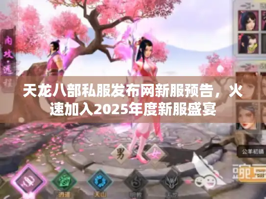 天龙八部私服发布网新服预告，火速加入2025年度新服盛宴