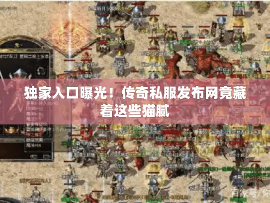 独家入口曝光！传奇私服发布网竟藏着这些猫腻