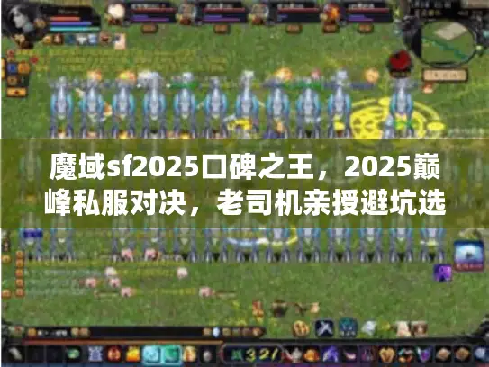魔域sf2025口碑之王，2025巅峰私服对决，老司机亲授避坑选王秘诀