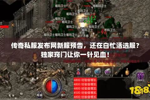 传奇私服发布网新服预告，还在白忙活选服？独家窍门让你一针见血！