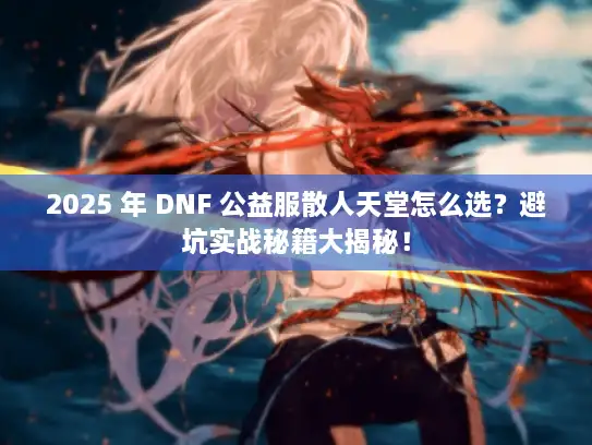 2025 年 DNF 公益服散人天堂怎么选？避坑实战秘籍大揭秘！