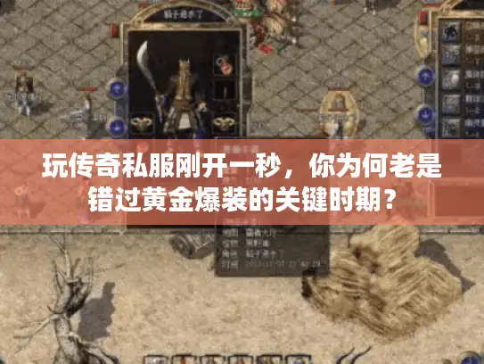 玩传奇私服刚开一秒，你为何老是错过黄金爆装的关键时期？