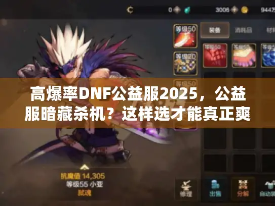 高爆率DNF公益服2025，公益服暗藏杀机？这样选才能真正爽爆！