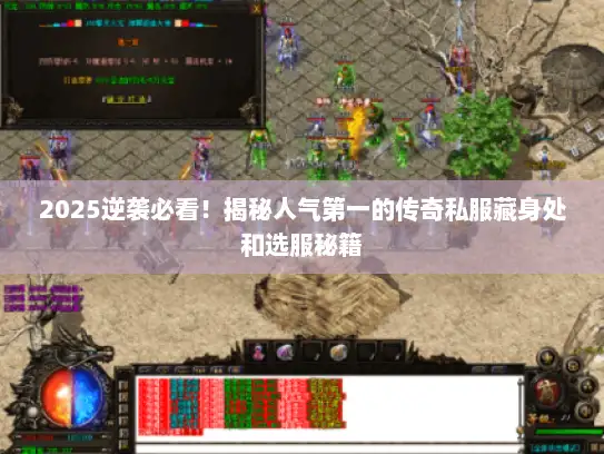 2025逆袭必看！揭秘人气第一的传奇私服藏身处和选服秘籍