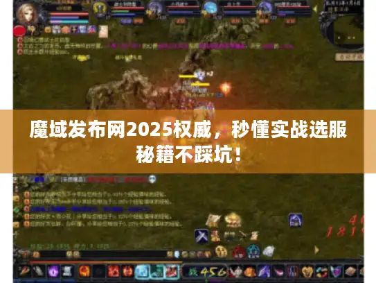 魔域发布网2025权威，秒懂实战选服秘籍不踩坑！