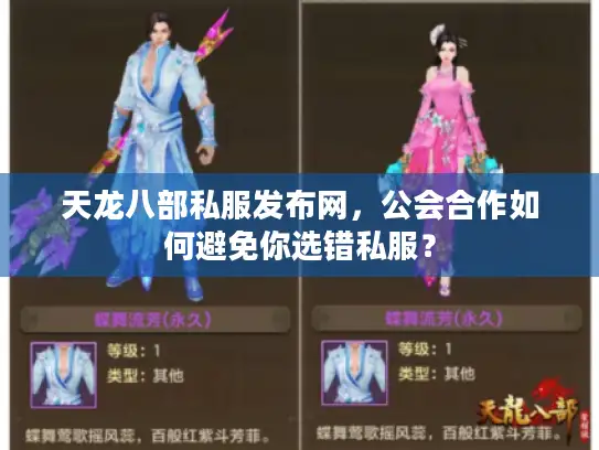 天龙八部私服发布网,公会合作如何避免你选错私服? 天龙八部私服发布网,公会合作如何避免你选错私服?