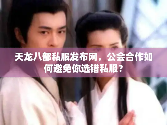 天龙八部私服发布网,公会合作如何避免你选错私服? 天龙八部私服发布网,公会合作如何避免你选错私服?