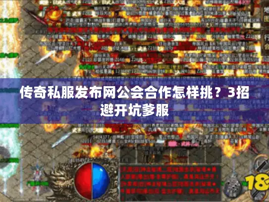 传奇私服发布网公会合作怎样挑？3招避开坑爹服