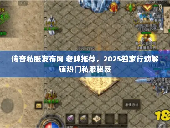 传奇私服发布网 老牌推荐，2025独家行动解锁热门私服秘笈