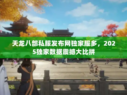 天龙八部私服发布网独家服多，2025独家数据震撼大比拼