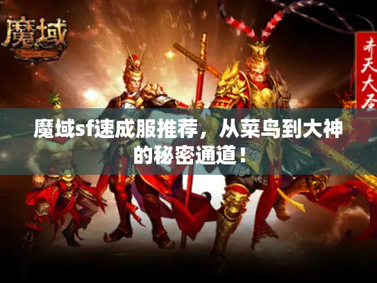 魔域sf速成服推荐，从菜鸟到大神的秘密通道！