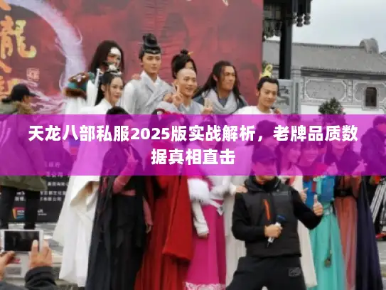 天龙八部私服2025版实战解析，老牌品质数据真相直击