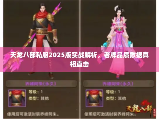 天龙八部私服2025版实战解析，老牌品质数据真相直击