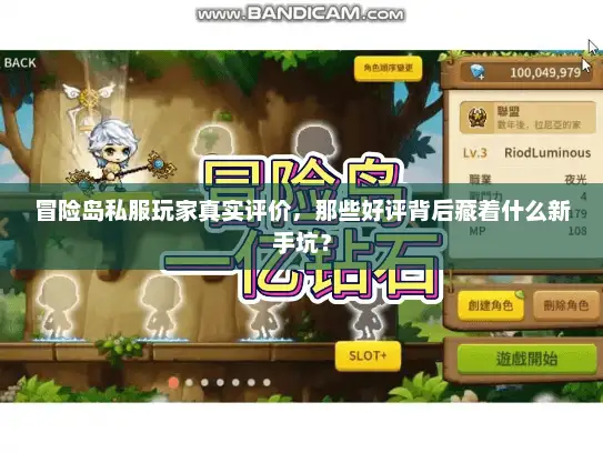 冒险岛私服玩家真实评价，那些好评背后藏着什么新手坑？
