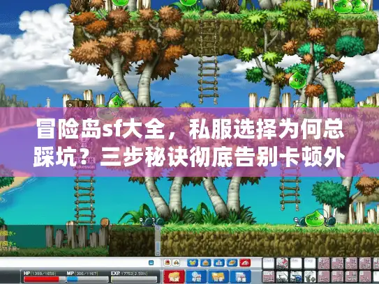 冒险岛sf大全，私服选择为何总踩坑？三步秘诀彻底告别卡顿外挂