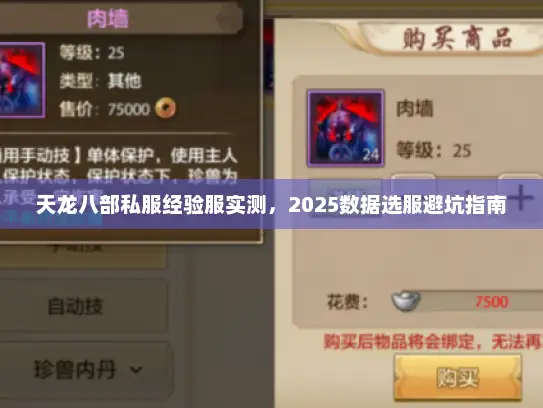 天龙八部私服经验服实测，2025数据选服避坑指南