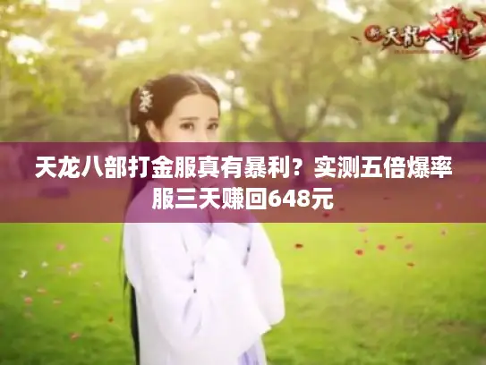 天龙八部打金服真有暴利？实测五倍爆率服三天赚回648元
