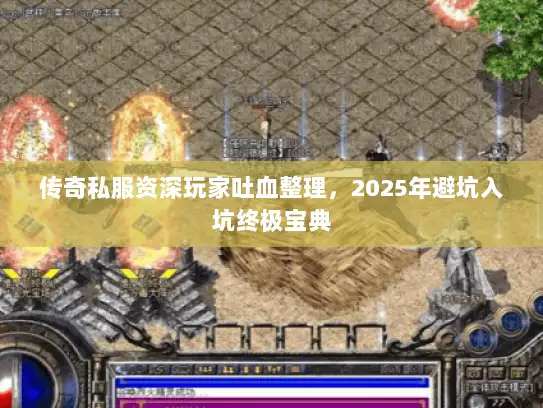 传奇私服资深玩家吐血整理，2025年避坑入坑终极宝典
