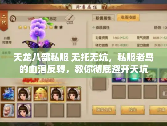 天龙八部私服 无托无坑，私服老鸟的血泪反转，教你彻底避开天坑